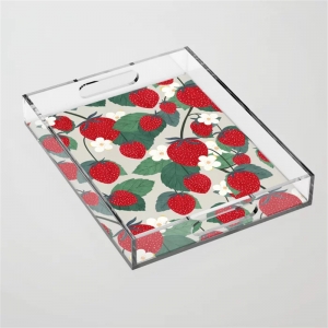 caja de exhibición de bandeja de desayuno de acrílico transparente con inserto
 