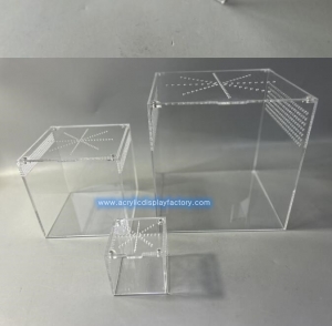 Caja de acrílico transparente para cría de tarántulas de reptiles 