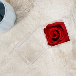 cajas impermeables de lujo mini 1 rosa para evento de boda 