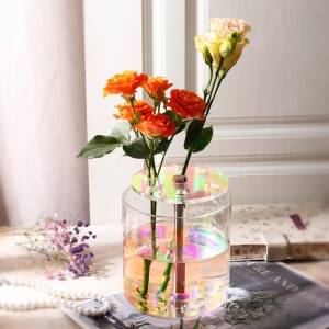 florero acrílico especial para decoración del hogar
    <!--放弃</div>--> 