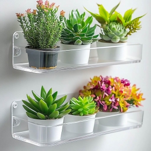 Cajas de ventana de acrílico Estantes para plantas 