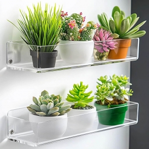 Cajas de ventana de acrílico Estantes para plantas 