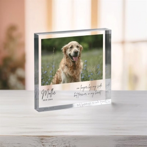 placa de foto acrílico de mascota personalizada