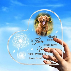 placa de mascota acrílica decorativa en forma de corazón para sala de estar 