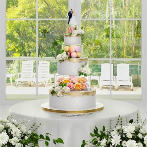 soporte de exhibición de pastel de acrílico