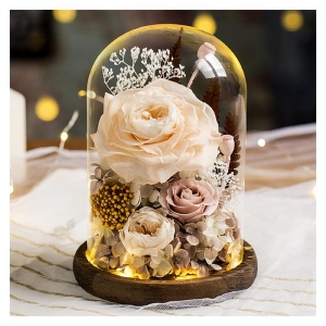 Tapa de cúpula de plástico transparente