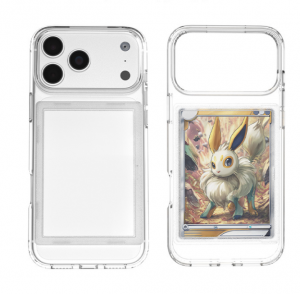 Estuche para cartas graduadas