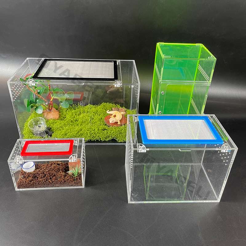 Perspectiva de la industria: Los recintos acrílicos para mascotas redefinen la presentación y la función de animales exóticos y pequeños.