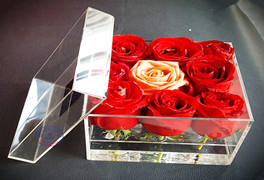 Acrylic flower box Comentarios de clientes